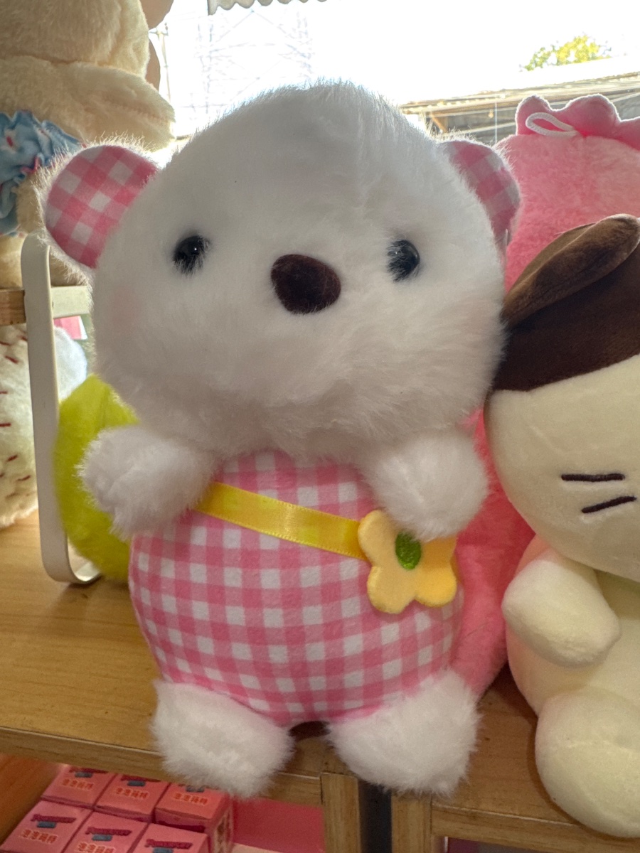 Pink Bear